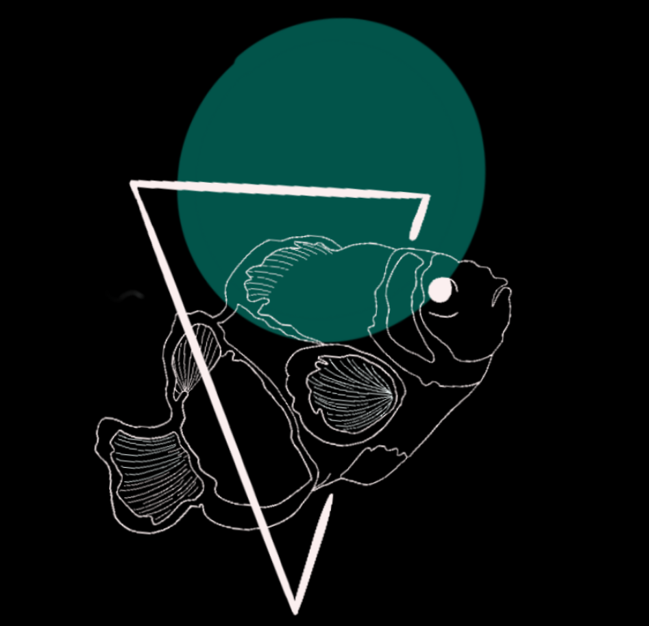 Dr. Adam T. Downie, PhD